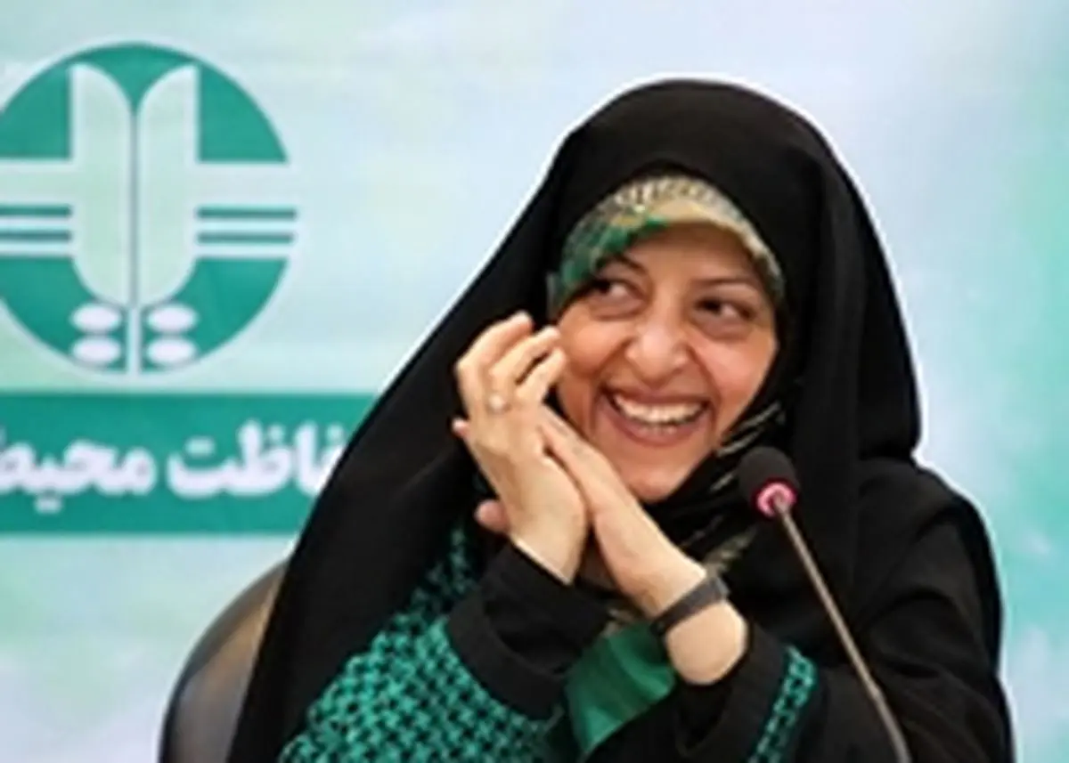 رفتار ابتکار در محیط زیست سیاسی است نه تخصصی