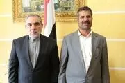 تاکید سفیر ایران و معاون وزیر برق یمن بر توسعه همکاری ها در حوزه انرژی