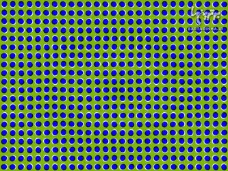 n00157239-r-b-000