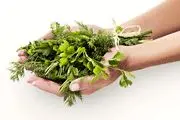 گیاهی مفید برای درمان تبخال