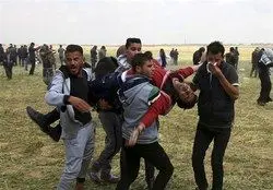 135 شهید در تظاهرات بازگشت در مرز نوار غزه