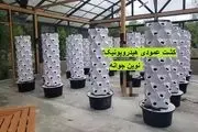 کشت عمودی هیدروپونیک مزایا، تجهیزات، نکات خرید