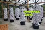 کشت عمودی هیدروپونیک مزایا، تجهیزات، نکات خرید