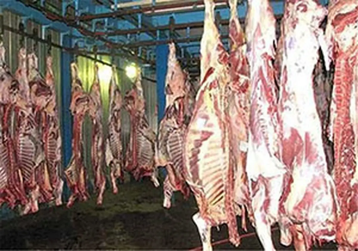 قیمت گوشت آب رفت