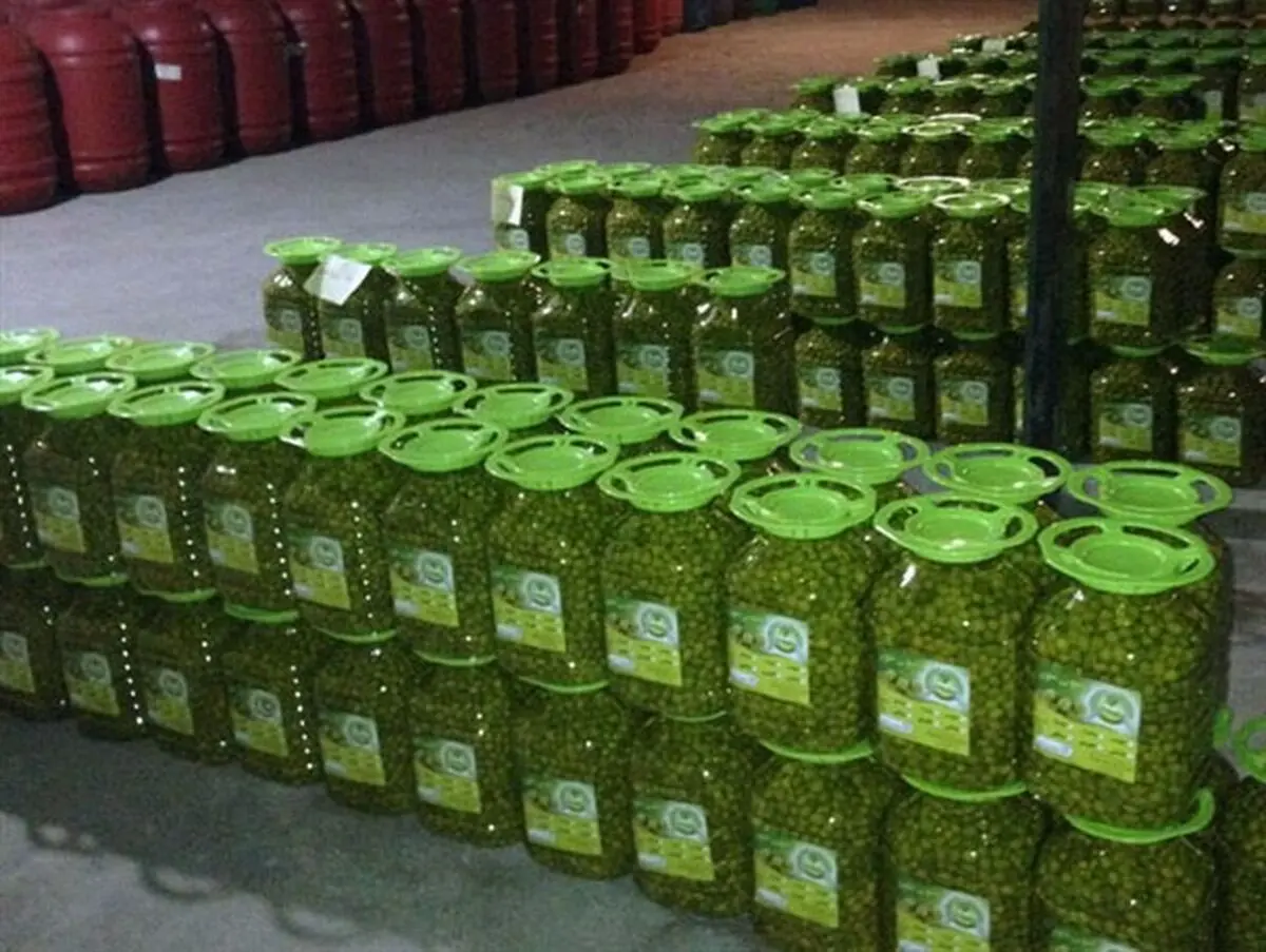 تسهیلات بسیج سازندگی مرا از ورشکستگی مجدد نجات داد