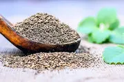 گیاهی که با 45 بیماری مبارزه می‌کند
