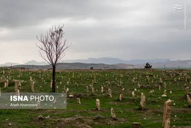 fdOyUFbVh9AZ