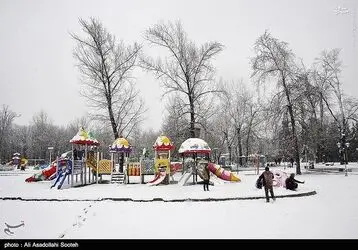 resized_1449762_895