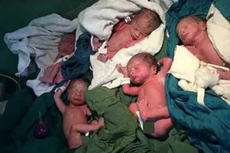5 قلوهای 1 کیلویی بدنیا آمدند