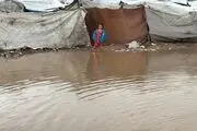 افزایش مرگ و میر نوزادان در نوار غزه با تشدید موج سرما