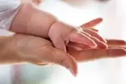 سهم مادری از دیوارهای شهر/ عکس