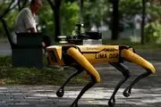سگ روبات به مردم سنگاپور هشدار برای رعایت فاصله اجتماعی می دهد