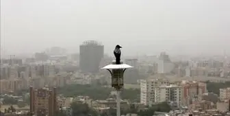 امروز ۲۳ اسفند: هوای تهران در وضعیت «قرمز»
