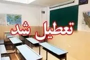 عکس یادگاری مداحان مشهور ایرانی با محافظ شهید نصرالله