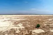 اخبار نگران کننده درباره تالاب‌های تهران