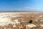 اخبار نگران کننده درباره تالاب‌های تهران