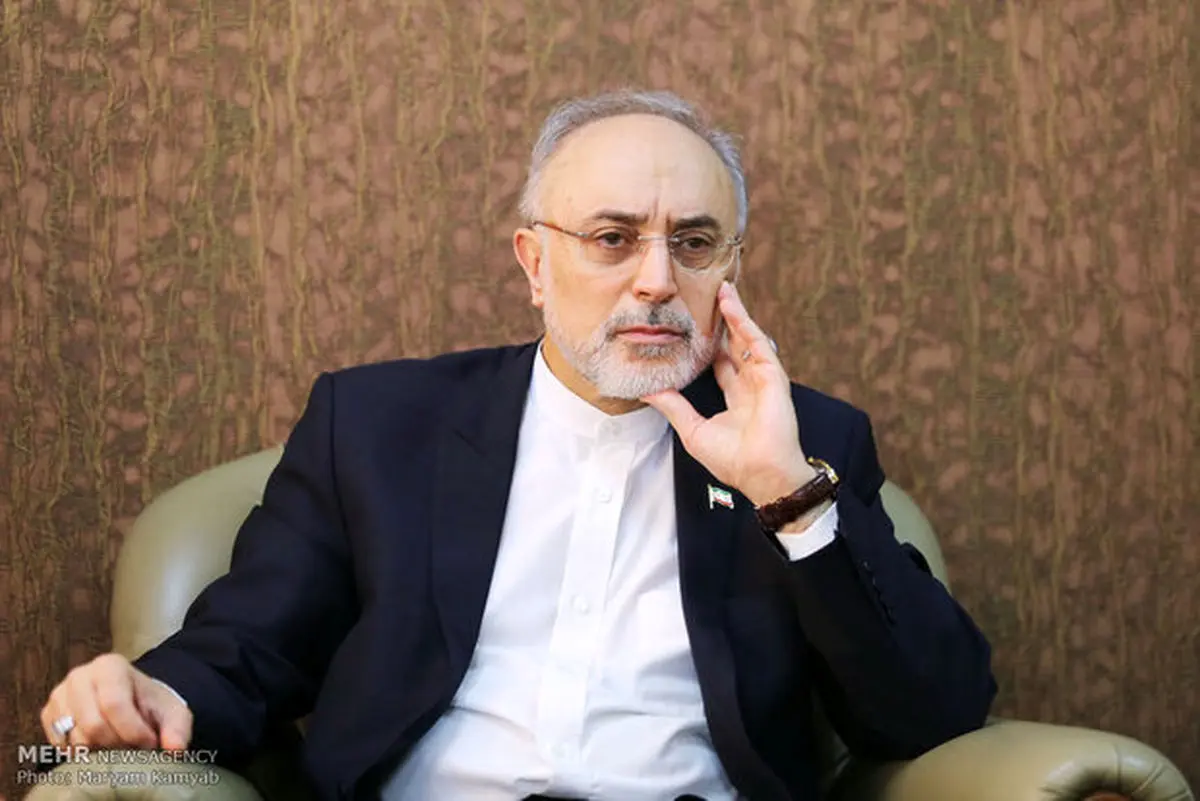  پیام صالحی در آستانه انتخابات ریاست جمهوری 