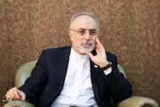 صالحی: پیشبرد مذاکرات توطئه بدخواهان ایران را نقش بر آب کرد