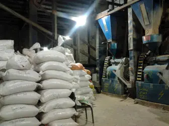 سرانه مصرف برنج در ایران ۴ برابر میانگین جهانی