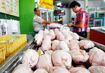 قیمت مرغ در بازار کاهش یافت
