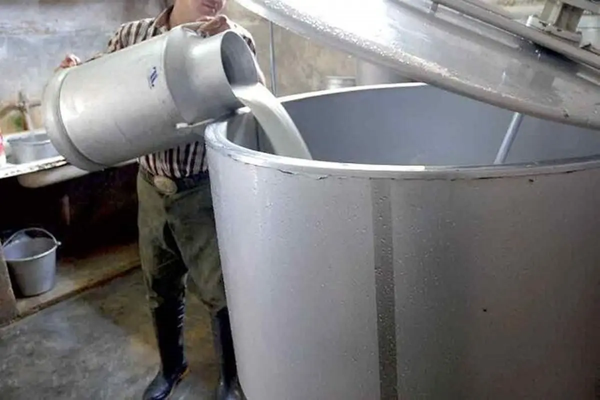 قیمت محصولات لبنی قبل از تعیین نرخ شیرخام محاسبه نمی شود
