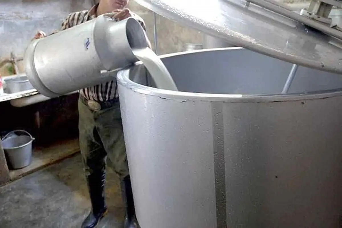 قیمت محصولات لبنی قبل از تعیین نرخ شیرخام محاسبه نمی شود