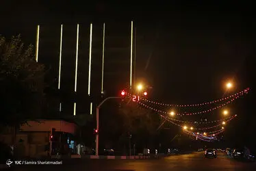 12305226_343
