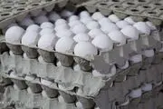 عرضه هر عدد تخم‌مرغ بالاتر از ۴ هزار تومان گرانفروشی است
