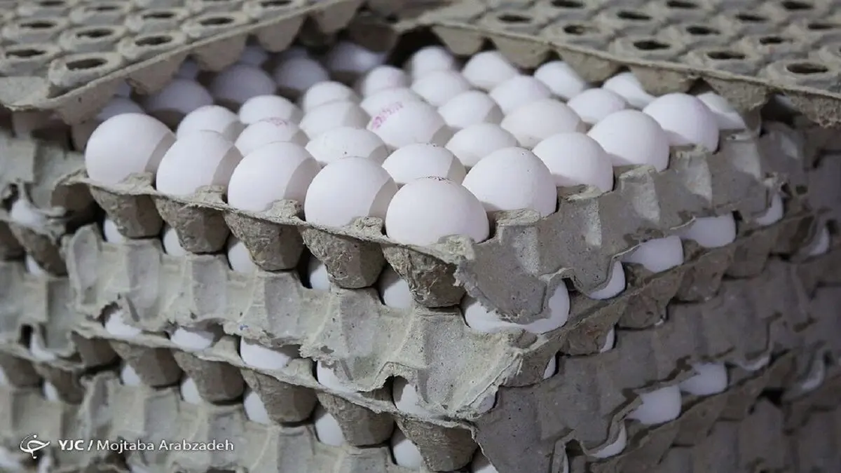 عرضه هر عدد تخم‌مرغ بالاتر از ۴ هزار تومان گرانفروشی است

