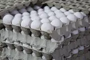 عرضه هر عدد تخم‌مرغ بالاتر از ۴ هزار تومان گرانفروشی است
