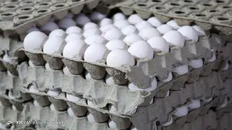 عرضه هر عدد تخم‌مرغ بالاتر از ۴ هزار تومان گرانفروشی است
