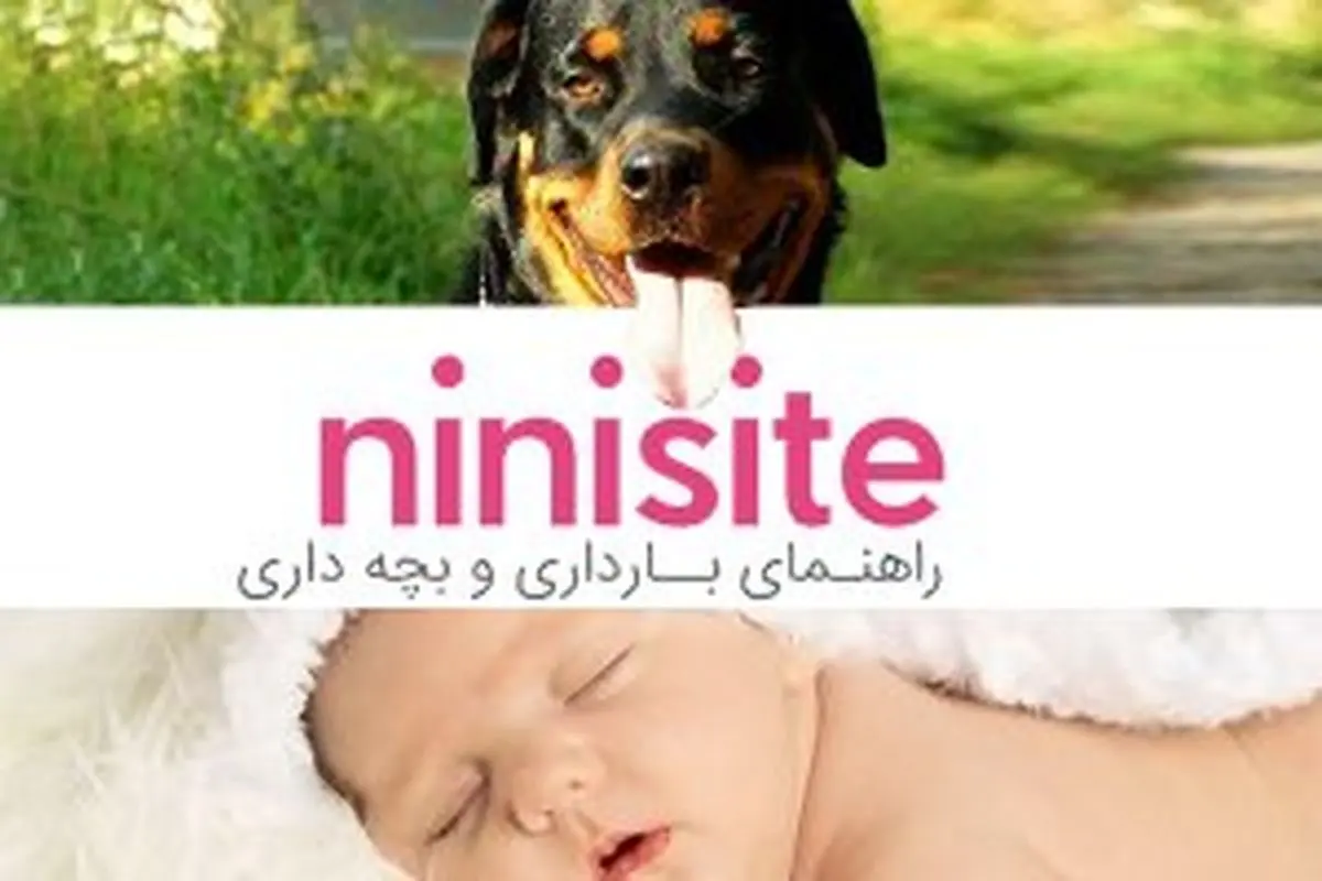 قیاس بچه داری با نگهداری از حیوان خانگی در نی‌نی‌ سایت