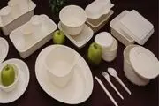 ظروف یکبار مصرف ۱۰۰درصد گران شد