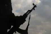 فیلم/ مردم ایران اسلحه به دست چشم به راه آمریکایی‌ها هستند!