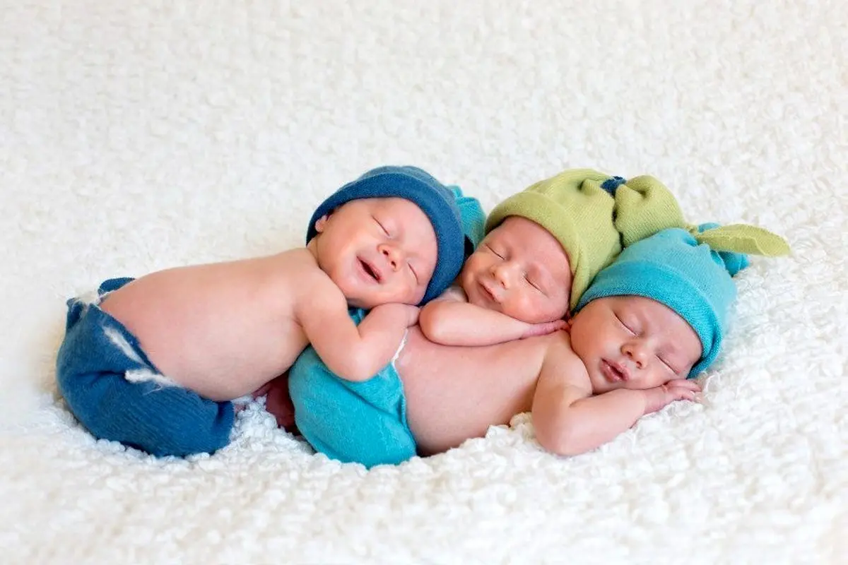 سه قلوهای مراغه ای در پیچ و خم بروکراسی