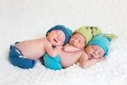 سه قلوهای مراغه ای در پیچ و خم بروکراسی