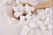 ایران در تولید شکر خودکفا می‌شود