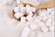 ایران در تولید شکر خودکفا می‌شود
