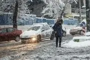 تصاویری دیدنی از بلوار کشاورز در شب برفی