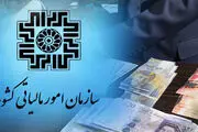 ذره‌بین امور مالیاتی روی معاملات کوچه بازاری ارز