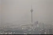 فلزات سنگین به وفور در مواد غذایی ایرانیان یافت می‌شود
