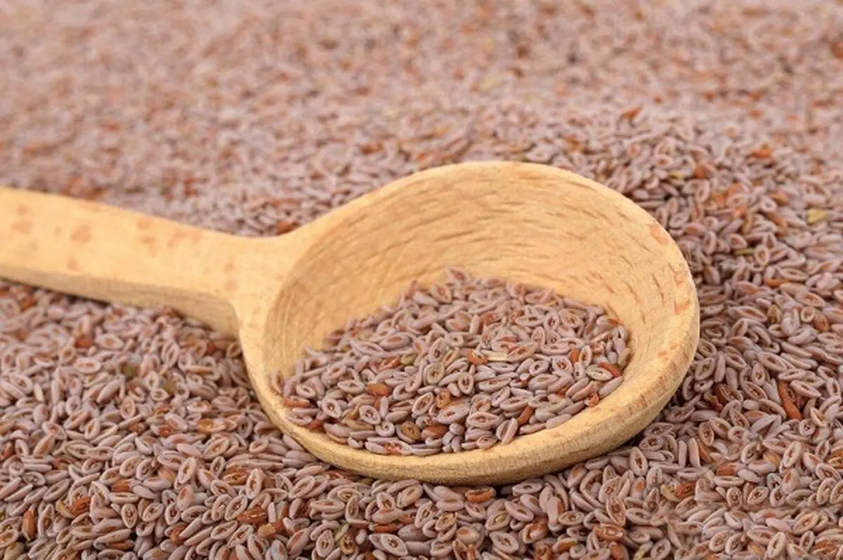 دانه هایی که یبوست و اسهال را برطرف،دیابت، التهاب روده، چربی و فشار خون را درمان می کنند
