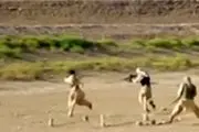 ۲۰ تروریست القاعده‌ای در عدن کشته شدند