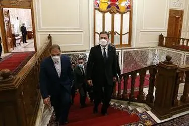 دیدار وزیر امور خارجه صربستان با رئیس مجلس