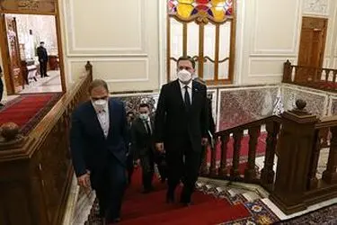 دیدار وزیر امور خارجه صربستان با رئیس مجلس