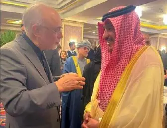 گفت‌وگوی دوستانه سفیر عربستان با علی اکبر صالحی+ عکس