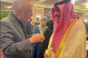 گفت‌وگوی دوستانه سفیر عربستان با علی اکبر صالحی+ عکس