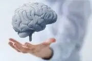 ۴ نکته مهم و ساده برای حفظ سلامت مغز