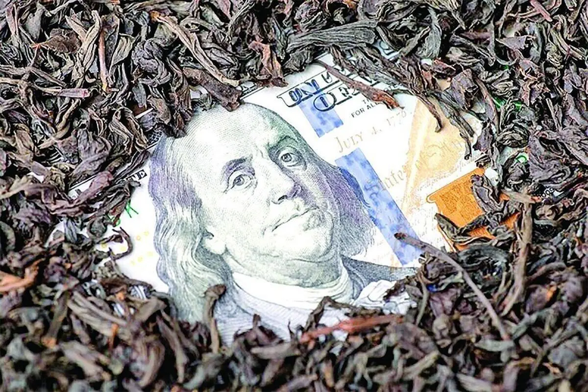 اصل ماجرای چای دبش چیست؟