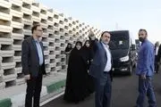 بازدید روسای کمیسیون های سلامت، فرهنگی و نظارت از منطقه 